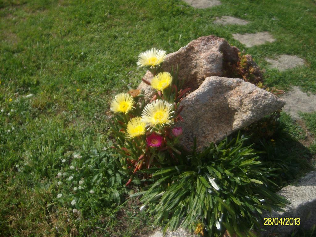 Agriturismo Spridda Bed & Breakfast Arzachena Exterior photo