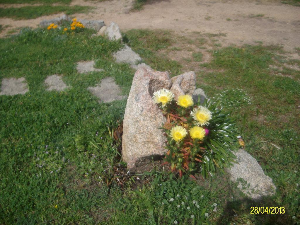 Agriturismo Spridda Bed & Breakfast Arzachena Exterior photo